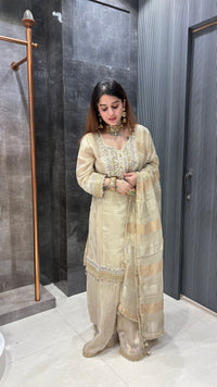 Shimmer Organza Suit Set with Handworked Neckline