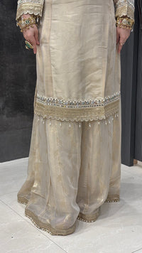 Shimmer Organza Suit Set with Handworked Neckline