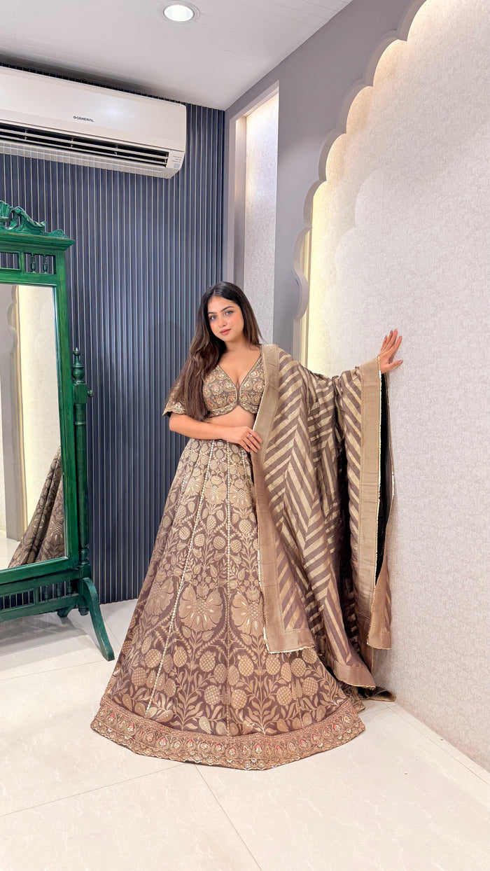 Pure Banarasi Silk Lehenga with Handwork Blouse