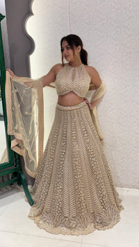 Gold Lehnga with Beads Handwork – Sizes Upto 42