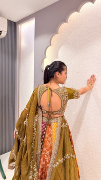 Handwork Embroidery Blouse with Multicolor Banarasi Weaving Lehenga