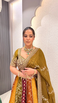 Handwork Embroidery Blouse with Multicolor Banarasi Weaving Lehenga