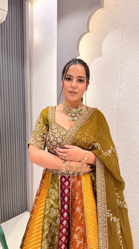 Handwork Embroidery Blouse with Multicolor Banarasi Weaving Lehenga