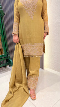 Beads Handwork Suit in Shimmer Silk Fabric