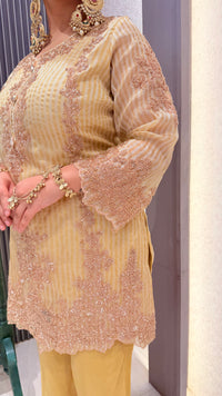Beads Handwork Shimmer Silk Suit Set