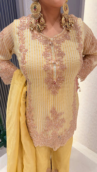 Beads Handwork Shimmer Silk Suit Set
