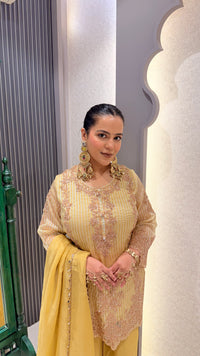 Beads Handwork Shimmer Silk Suit Set
