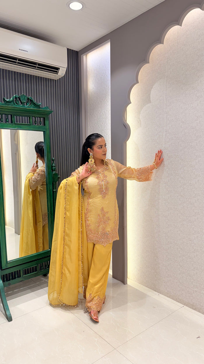 Beads Handwork Shimmer Silk Suit Set