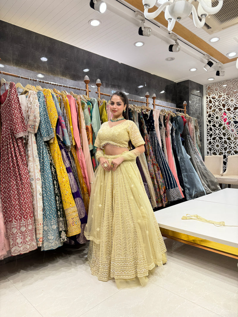 Radiant Yellow Net Lehenga with Embroidery & Sheer Work