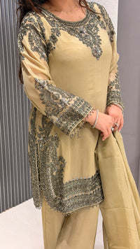 Handworked Shimmer Fabric Suit Set