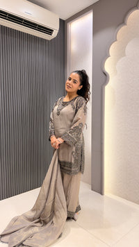 Handworked Shimmer Fabric Suit Set