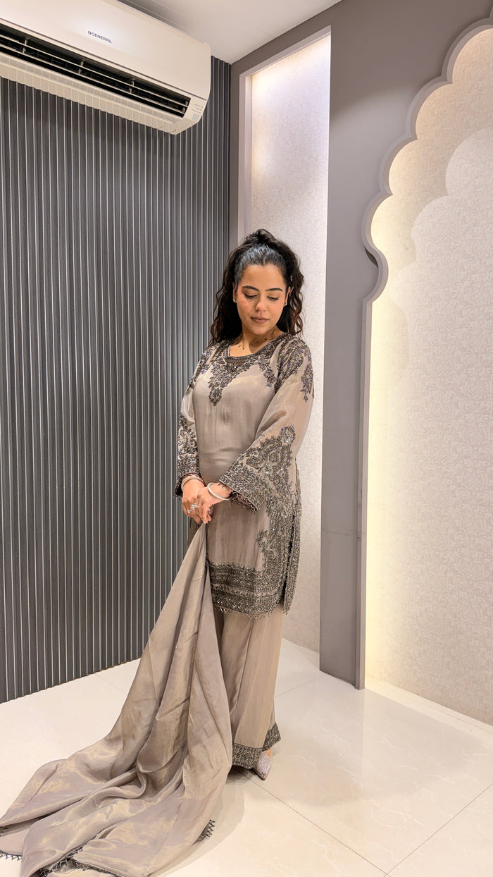 Handworked Shimmer Fabric Suit Set