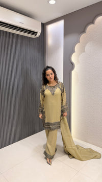 Handworked Shimmer Fabric Suit Set