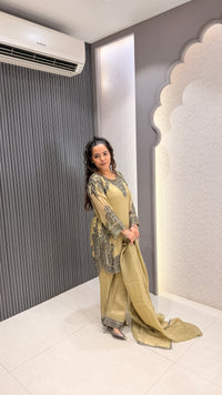 Handworked Shimmer Fabric Suit Set