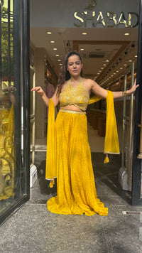 Neem Zari Work Indo-Western Set with Banarasi Woven Bottom