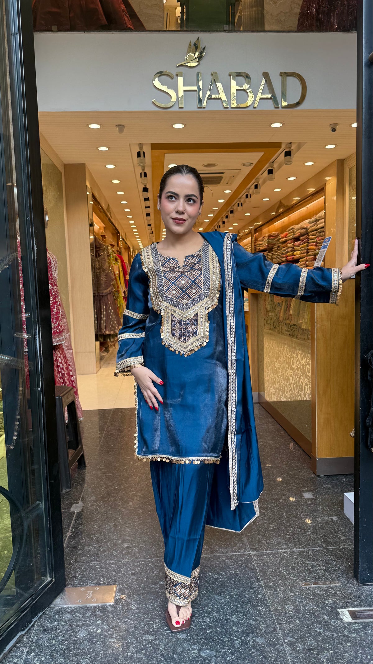 Budget-Friendly Shimmer Tissue Fabric with Elegant Thread Embroidery Work