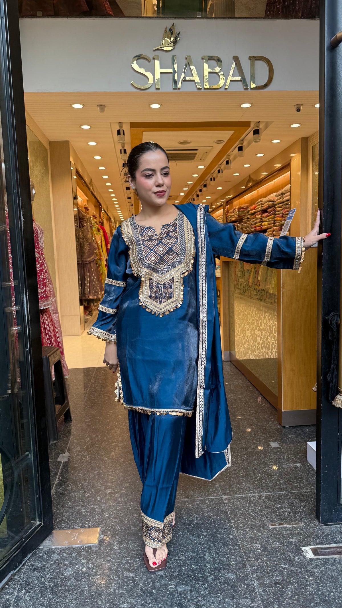 Budget-Friendly Shimmer Tissue Fabric with Elegant Thread Embroidery Work