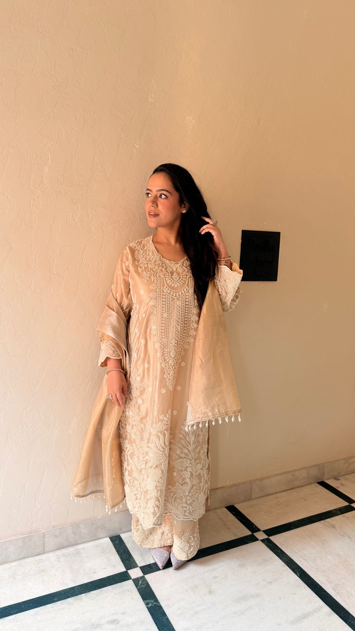 Long pakistani suit | shimmer silk fabric beads work