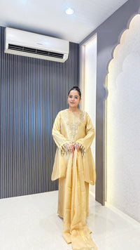 Shimmer Suit Set with Dabka & Pearl Work | Premium Festive Wear