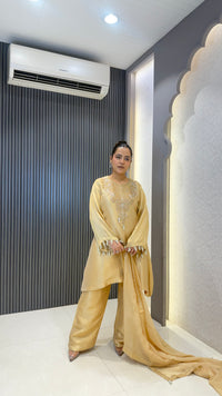 Shimmer Suit Set with Dabka & Pearl Work | Premium Festive Wear