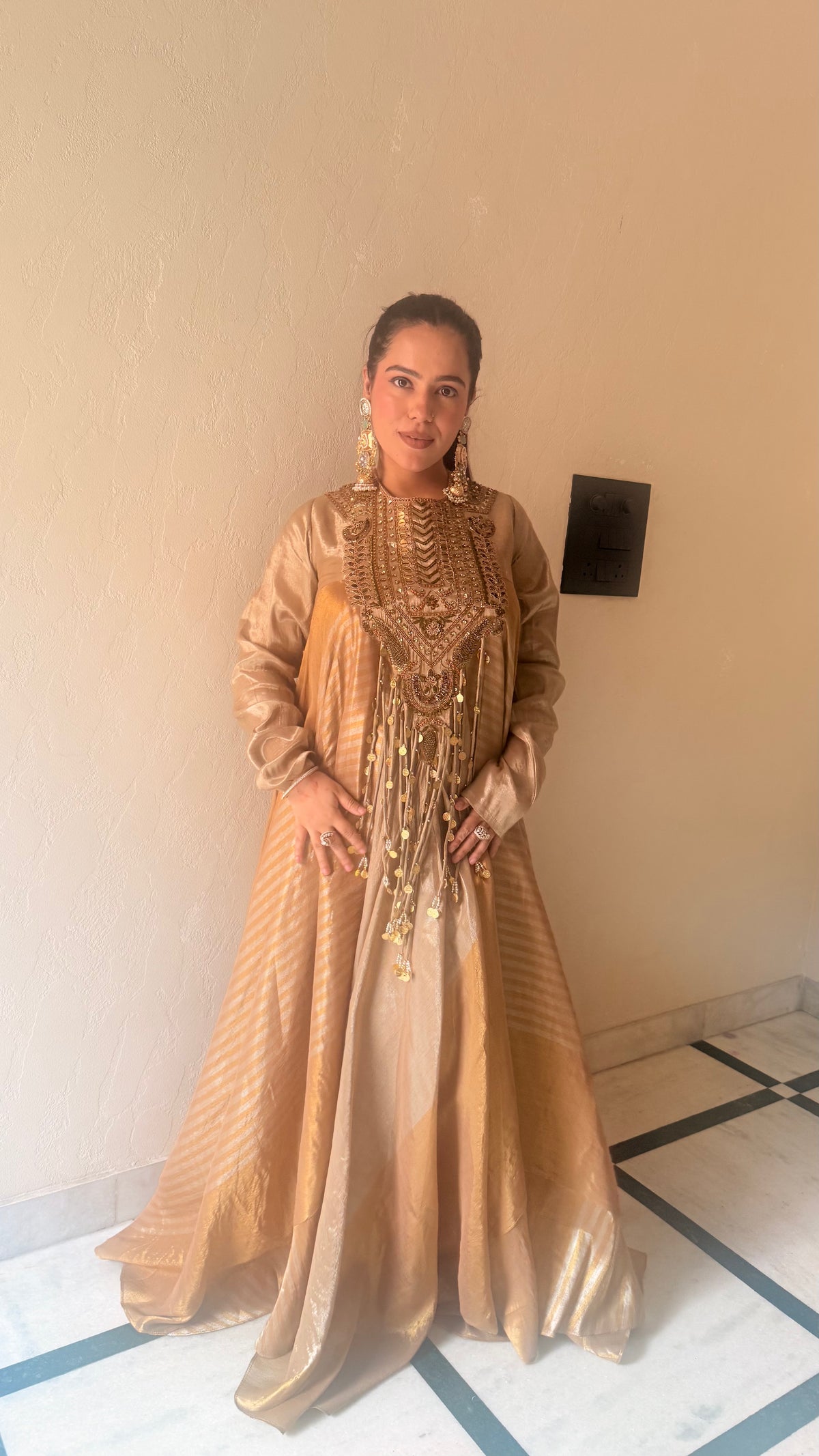 Royal Shimmer fabric Dabka work Suit