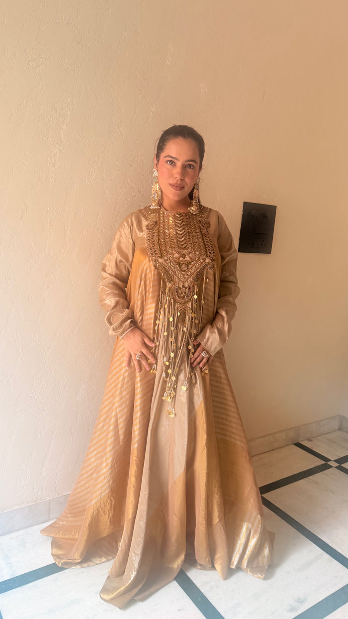 Royal Shimmer fabric Dabka work Suit