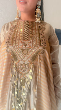 Royal Shimmer fabric Dabka work Suit